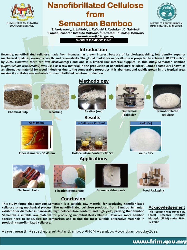 Nanofibrillated Cellulose from Bamboo | PDF | Cellulose | Fibers