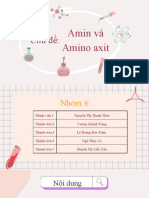Amin & Amino Axit