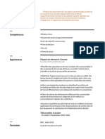 CV PDF