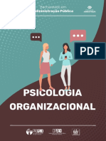 E-Book Psicologia Organizacional