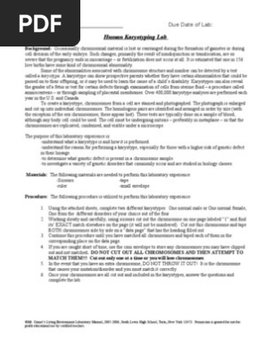 14 - Human Karyotyping Activity Corrected Copy