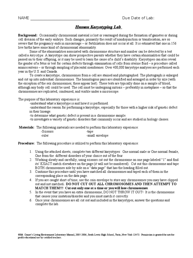 14 - Human Karyotyping Activity Corrected Copy