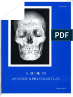A Guide To Anatomy & Physiology Lab