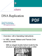 DNA Structure and Replication Online Classes I 1 2 3 MYP