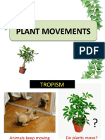 Plants Movement