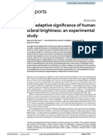 The Adaptive Significance of Human Scleral Brightness An Experimental Study