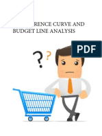 2 - Indifference Curve and Budget Line Analysis