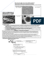 Evaluation Cellule