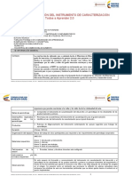 Protocolo Instrumento de Caracterización Transición