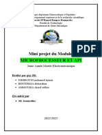 boumedine mini projet_125519
