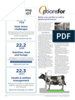 Idt Options