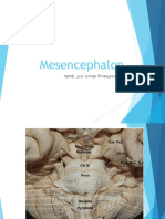 MESENCEPHALON 