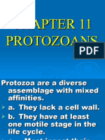 CHAPTER_11_Protozoa