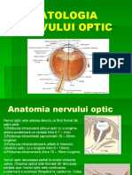 PATOLOGIA NERVULUI OPTIC (1) (1)
