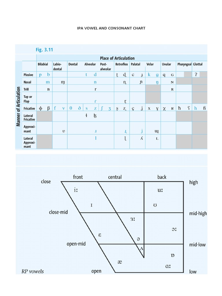 Ipa Vowel and Consonant Chart | PDF