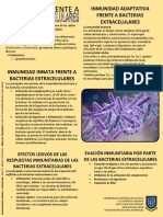 Infografia Bacterias Extracelulares