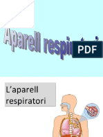 Aparell Respiratori