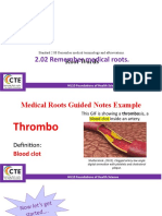 2.02 Medical Term Roots