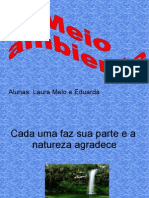 Meio AmbienteLaura Melo e Eduarda Mariana