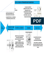 Presentación1 PDF