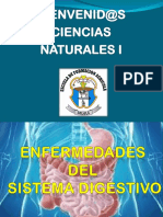 Ciencias Naturales I Enfermedades Del Sistema Digestivo