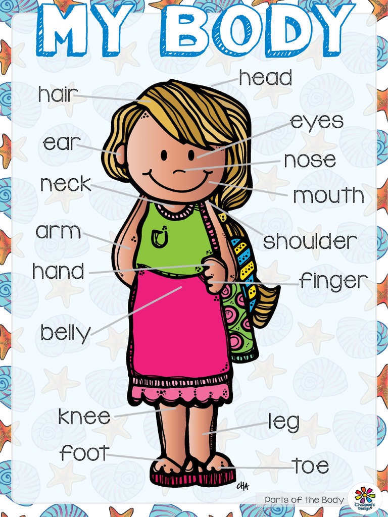 My Body | PDF