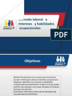 Taller Mercado Laboral e Interes y Habilidades Ocupacionalesc