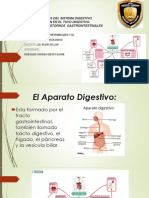 Farmacologia Del Aparato