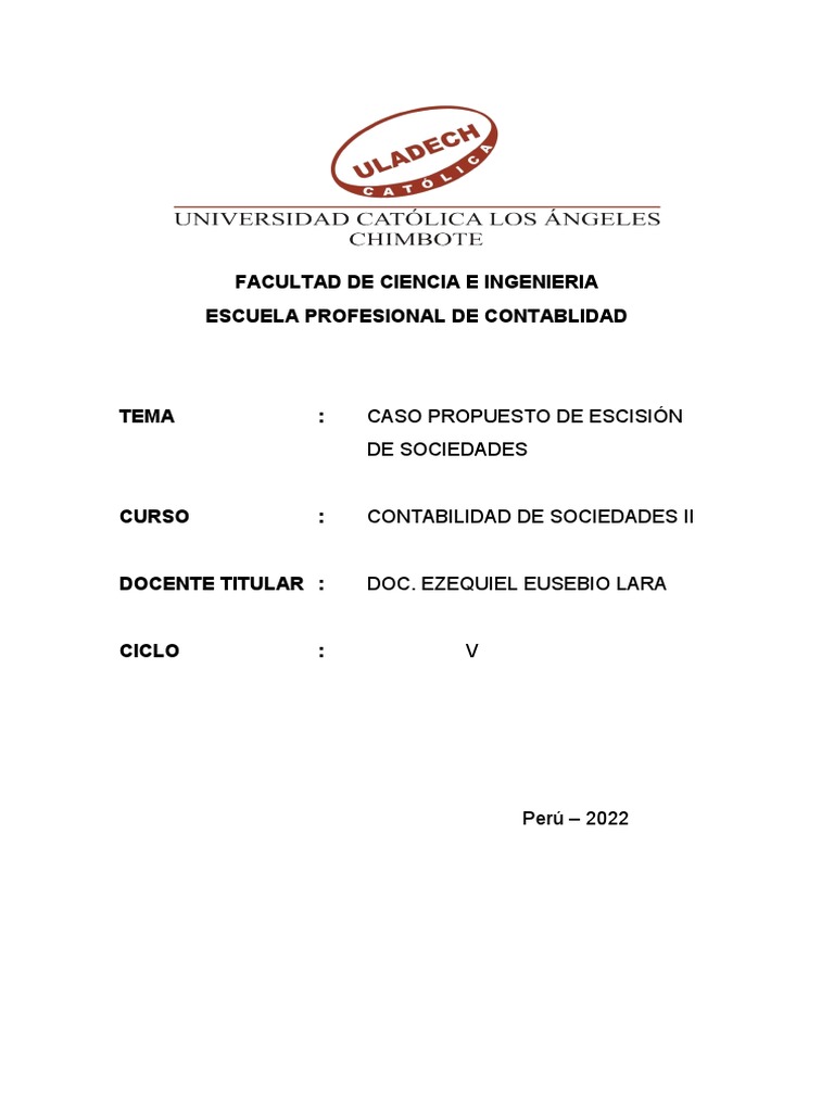Ejemplo de Escisión de Sociedades en Perú | PDF | Valor neto | Contabilidad