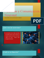 Neuronas y Comunicación Neuronal