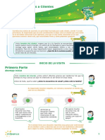 Protocolo de Visitas de Relacionamiento