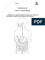 Previo de Práctica 10 - Sistema Digestivo