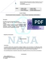 Diagnóstico de adenocarcinoma en perra de 14 años tras estudio citológico de glándula mamaria