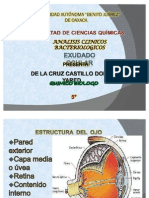 Exudado Ocular 2