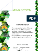 Module 2d - The Nervous System