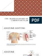 [ Css ] Radioanatomy of Cardiovascular - Kelompok 21 Koas Angkatan 2019