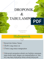 HIDROPONIK DAN TABULAMPOT