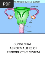 2 Congenital Abnormalities