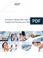 Ammonium Nitrate (an)_ 2022 World Market Outlook and Forecast Up to 2031