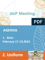 BSP Meeting