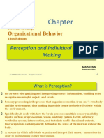 Perception & Individual Decision Making