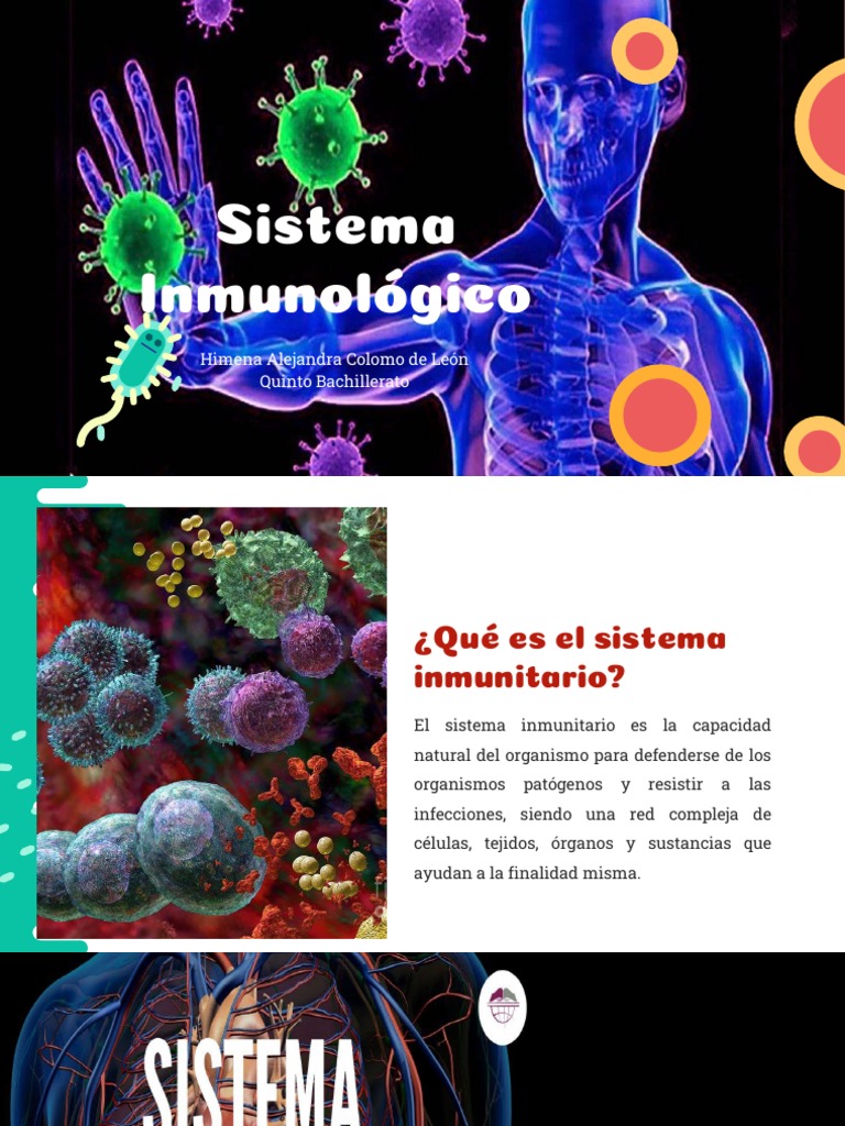 Sistema Inmunológico para Niños | PDF | Sistema linfático | Sistema inmune