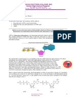 Cellular Respiration Study Guide