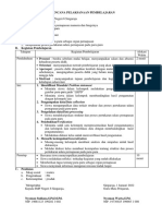 Organ Pernapasan Manusia Dan Fungsinya