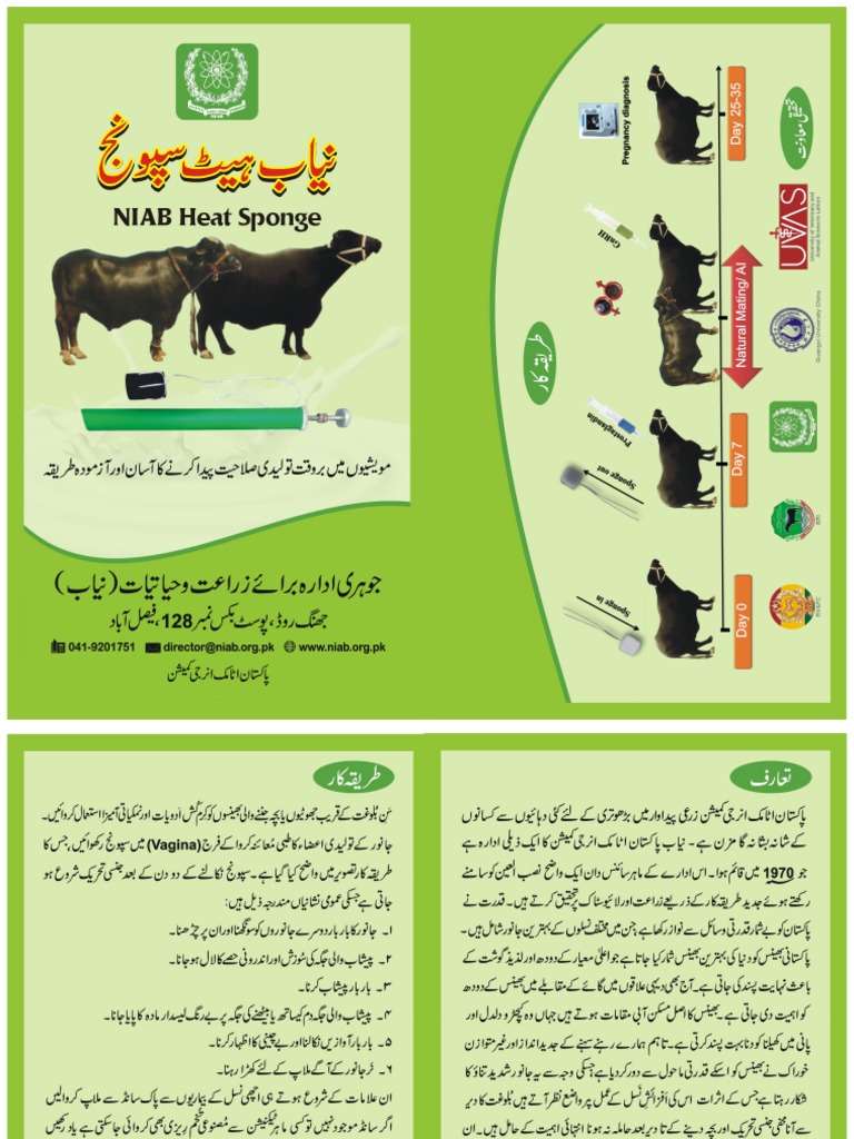 NIAB Heat SpongeUrdu PDF