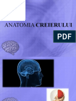 Anatomia Creierului