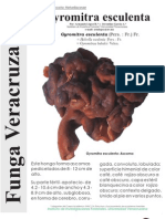 122-Gyromitra Esculenta