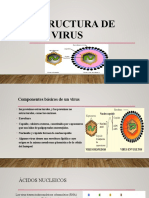 Estructuras de Los Virus