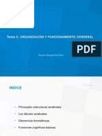 Tema 2. Organización y Funcionamiento Cerebral (2) Con Apuntes