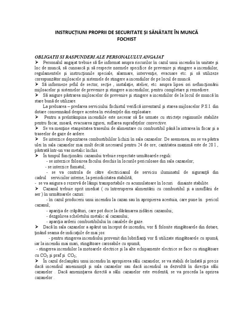Instructiuni SSM Fochist | PDF